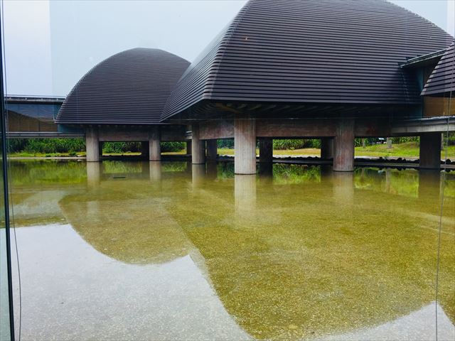 奄美大島　観光スポット　鹿児島県奄美パーク