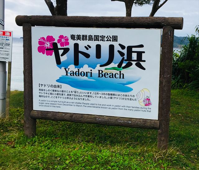 奄美大島　観光スポット　ヤドリ浜