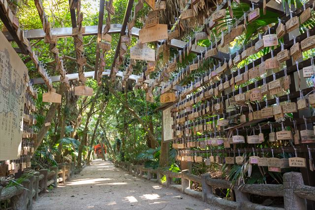 良縁祈願!宮崎屈指のパワースポット「青島神社」で宝貝探し