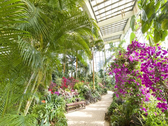 良縁祈願!宮崎屈指のパワースポット「青島神社」で宝貝探し