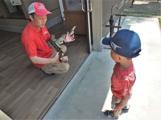 阿蘇　カドリードミニオン　蛇が怖い　息子