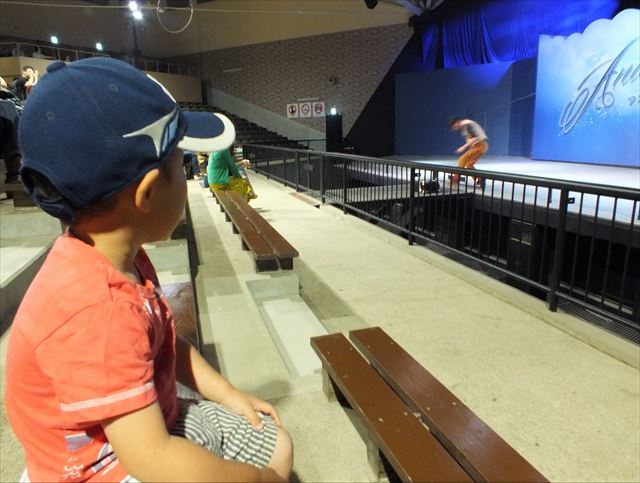 阿蘇　カドリー　ドミニオン　ショー　アニマリュージョン