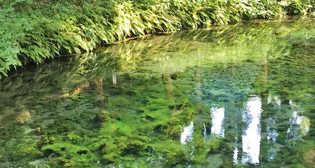 白川水源