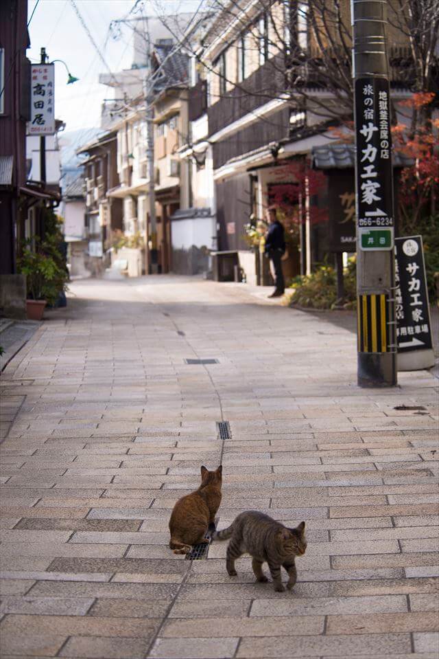 別府　街並み　イメージ