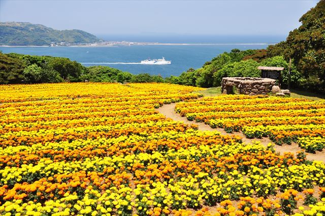 定番・穴場を厳選！福岡のおすすめ観光スポット14選