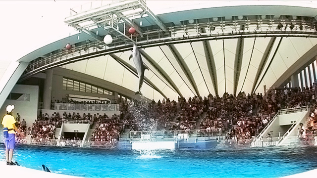 サクッと行けて旅行の思い出もばっちり。博多観光スポット７選