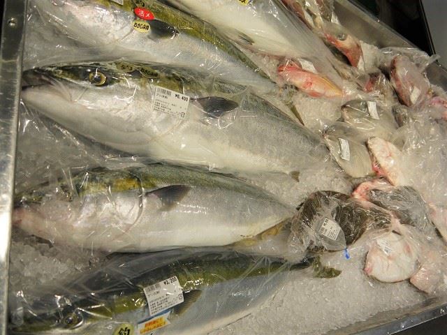 平戸観光スポット　海産物　平戸瀬戸市場