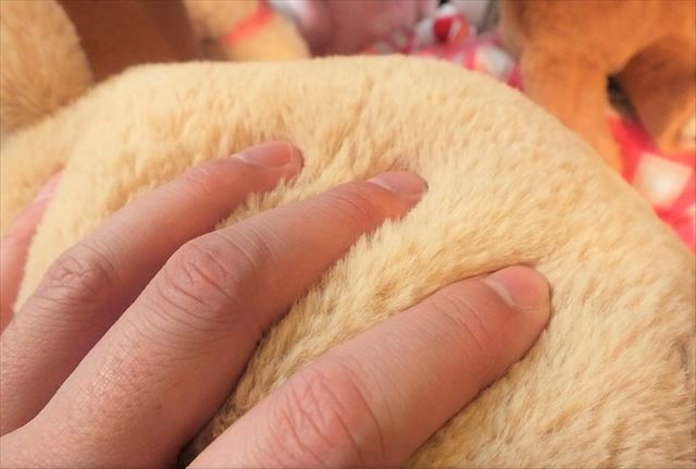 ハウステンボス　お土産　ふわふわ　シフォンベア