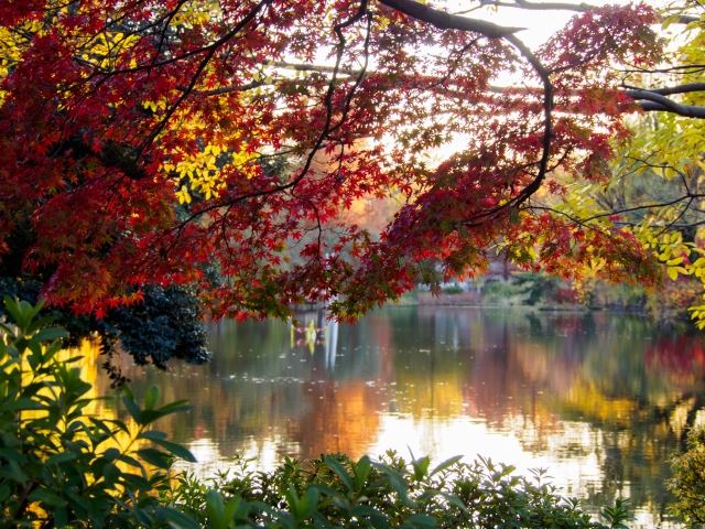 指宿で温泉めぐり！名湯から秘湯までおすすめの湯5選！