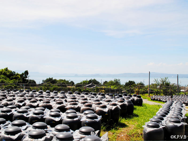 鹿児島観光スポット　黒酢壺畑