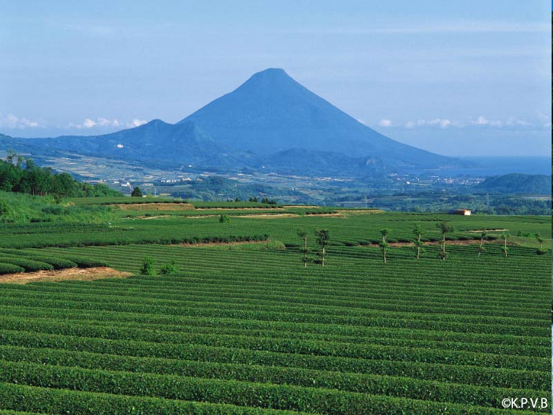 鹿児島　観光スポット　開聞岳