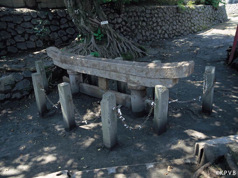 鹿児島　観光スポット　黒神埋没鳥居