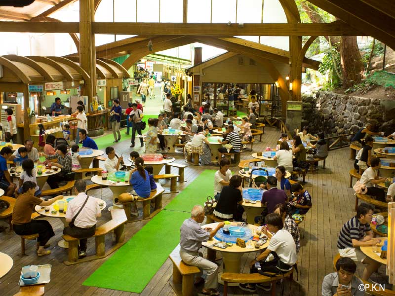 鹿児島　観光スポット　渡船峡流しそうめん