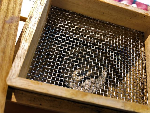 かじしか　炭火　海苔をあぶる