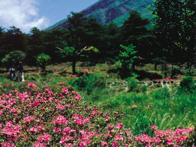 鹿児島空港近くの霧島のおすすめ観光スポット～定番から穴場まで10選！
