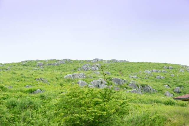 小倉　観光　平尾台