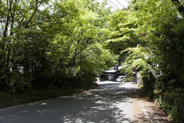 黒川温泉　日帰り　季節