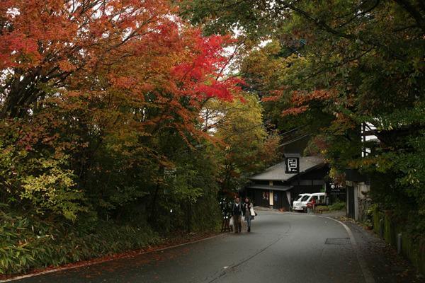 黒川温泉　秋　紅葉