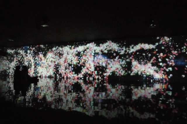 真玉海岸｜大分県でただひとつ干潟に沈む絶景の夕日