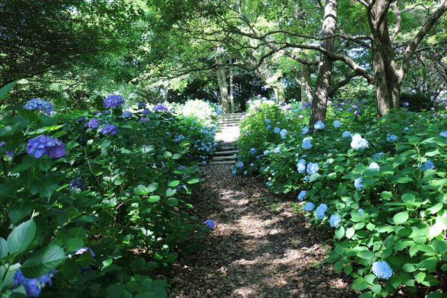 真玉海岸｜大分県でただひとつ干潟に沈む絶景の夕日