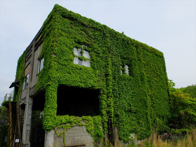 九州　世界遺産　万田坑　屋根