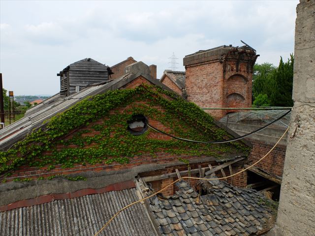 九州　世界遺産　万田坑　蔦