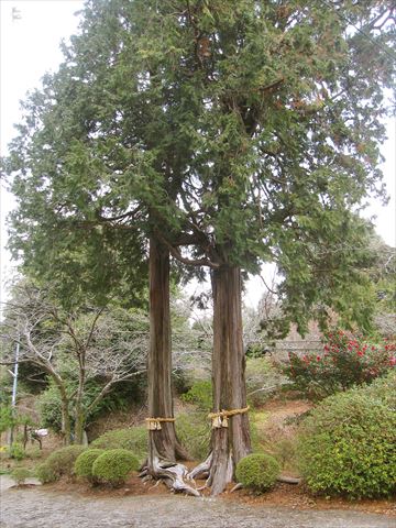 御船山楽園　武雄神社