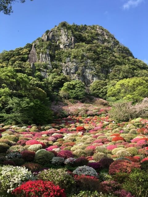 御船山楽園　つつじ