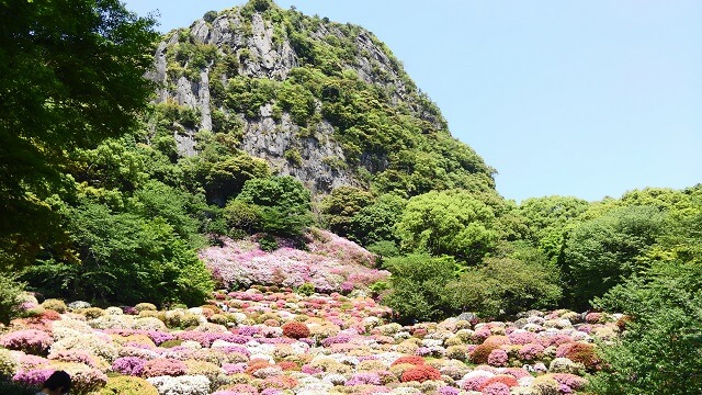 御船山楽園　つつじ