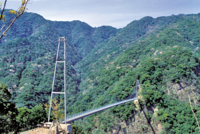 綾の大吊橋