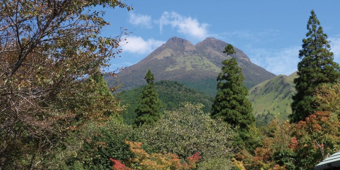 名苑と名水の宿 梅園
