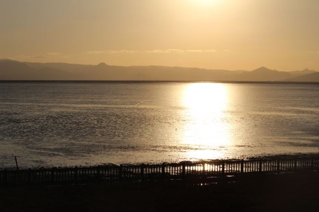 太良　牡蠣　オレ達のカキ焼家　オレカキ