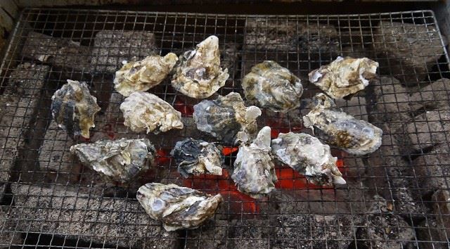 太良　牡蠣　大福丸　箱崎店