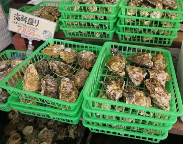 太良　牡蠣