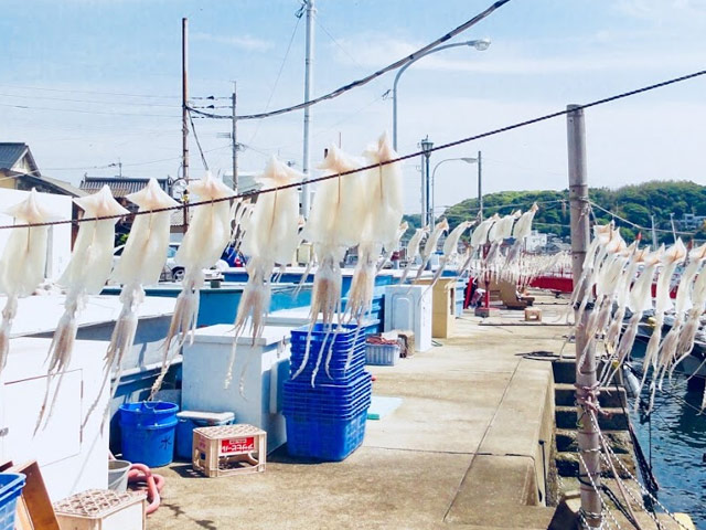 佐賀の観光スポット10選！定番から穴場まで見どころをご紹介！