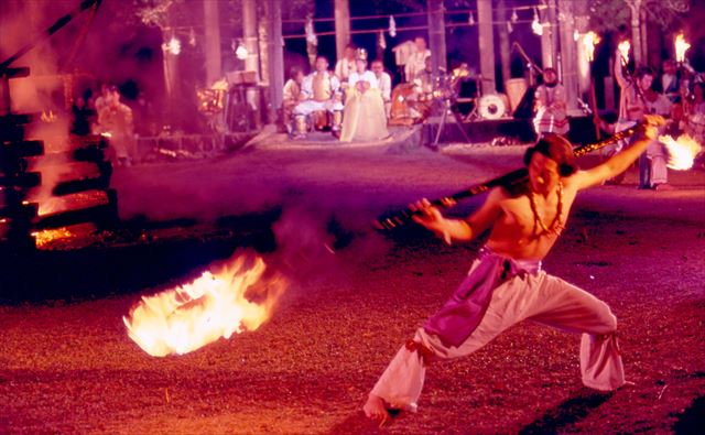 四季の花が咲く巨大遺跡「西都原古墳群」―桜・菜の花・ひまわり・コスモス