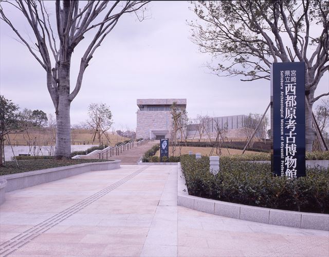 四季の花が咲く巨大遺跡「西都原古墳群」―桜・菜の花・ひまわり・コスモス