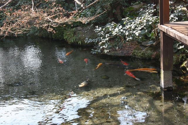 島原　観光スポット　湧水庭園　四明荘