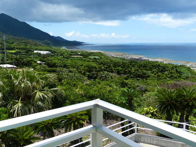 大きすぎる南国の自然美は写真映え抜群!徳之島の観光スポット10選