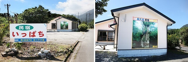 民宿いっぱち 外観