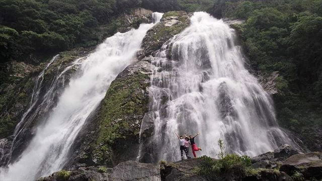 屋久島　観光　大川の滝