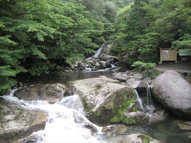 屋久島　縦走トレッキング　白谷雲水峡