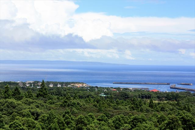 屋久島　宮之浦　民宿　やくすぎ荘