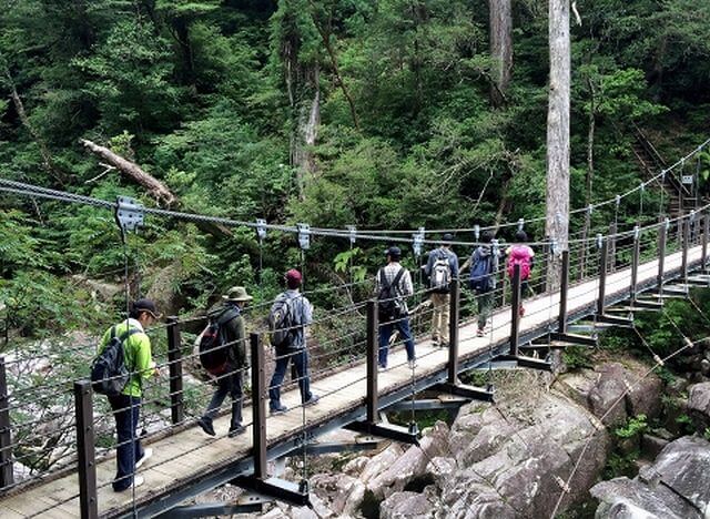 屋久島　　ヤクスギランド　イメージ