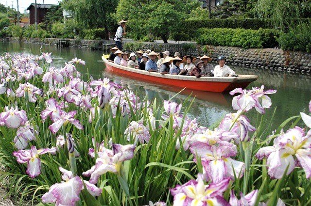 柳川観光　初夏
