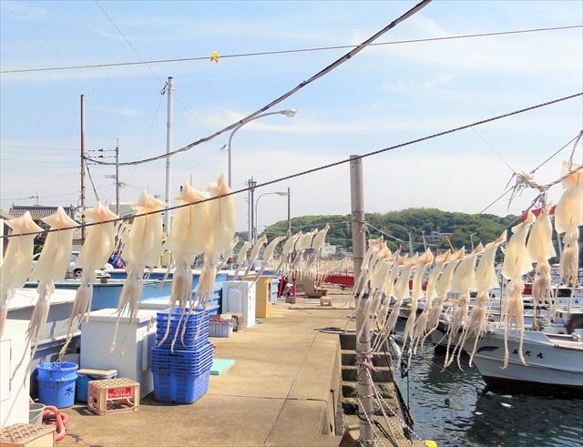 魚介の宝庫・呼子といえば活イカ！ランチにおすすめのお店７選