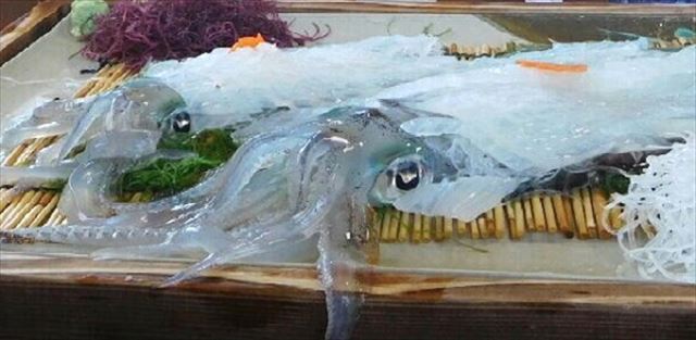 魚介の宝庫・呼子といえば活イカ！ランチにおすすめのお店７選