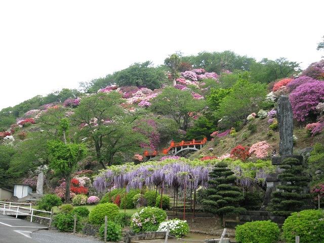 祐徳稲荷神社　つつじ